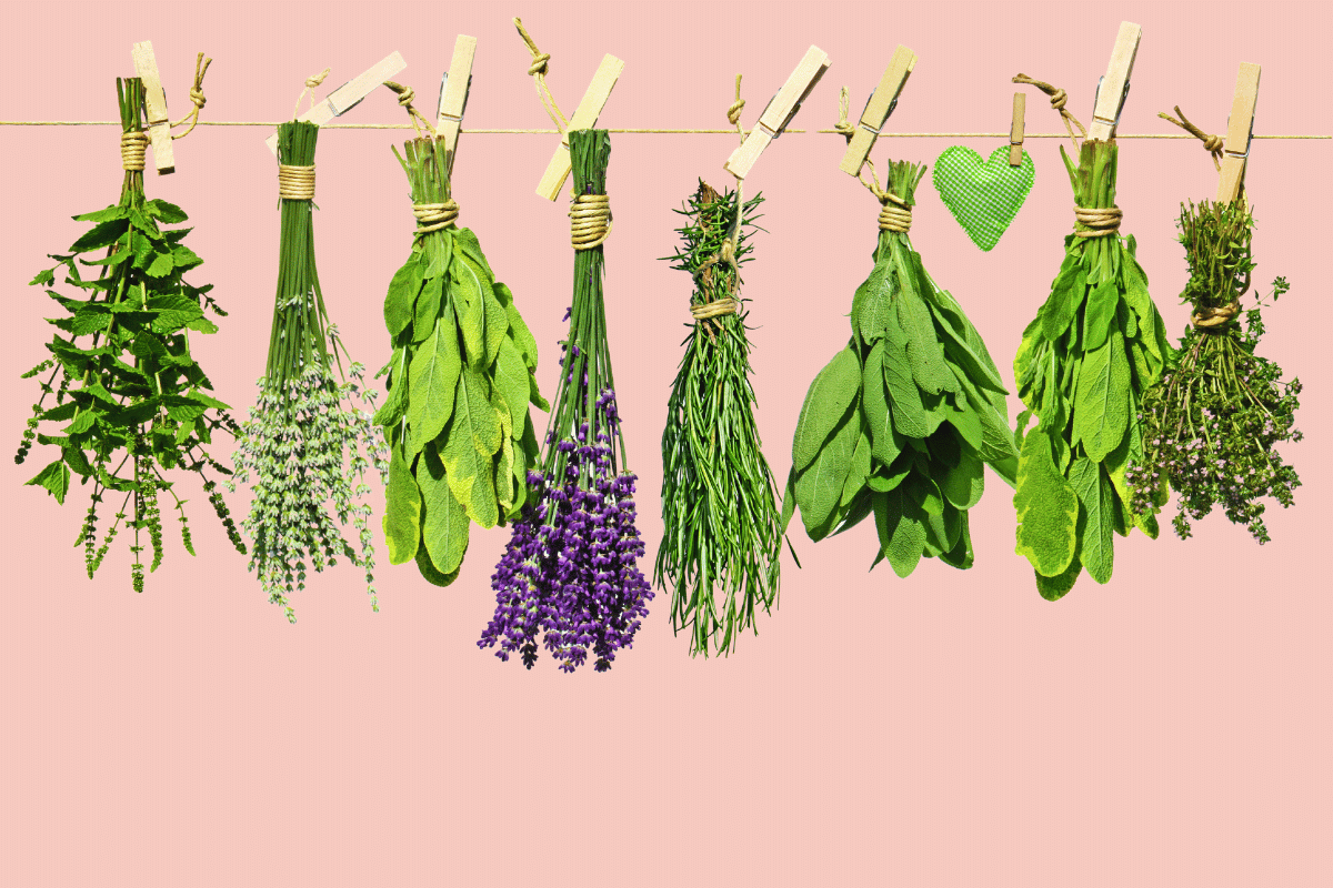 Herbs To Avoid During Pregnancy And Breastfeeding Fertility Glo Herbs To Avoid During Pregnancy And Breastfeeding Fertility Glo