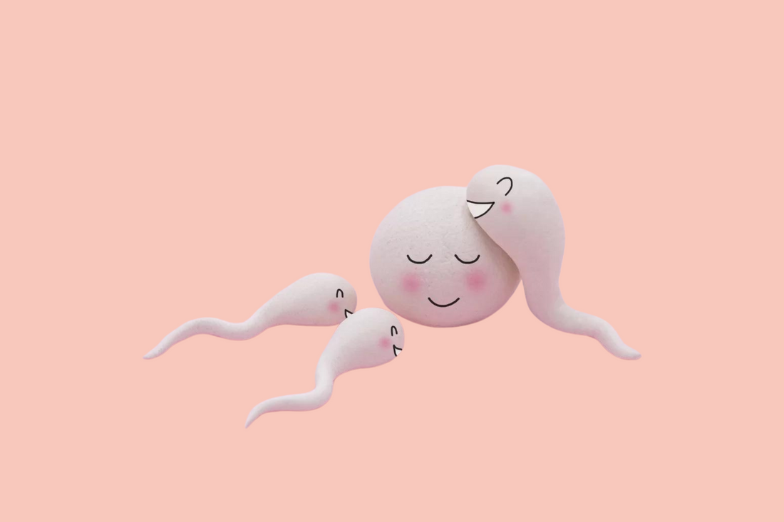 Egg surrounded by sperm on pink background