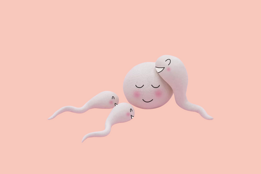 Egg surrounded by sperm on pink background